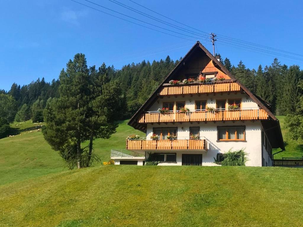 Gaestehaus Brigitte Schoch Apartment Bad Rippoldsau-Schapbach